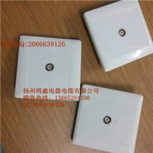 墙上型双孔防尘面板单孔双孔数据终端盒信息面板厂家批发零售