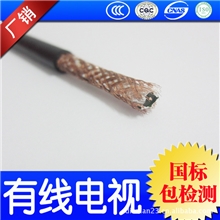 有线电视天线SYWV75-5闭路电视线专用高清品质国标