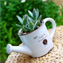 ZAKKA杂货陶瓷水壶仿古迷你花盆做旧小盆栽228