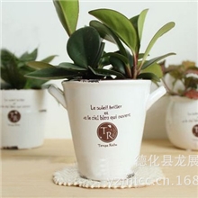 陶瓷花盆时尚园林装饰花盆复古双耳白色做旧陶瓷花盆221