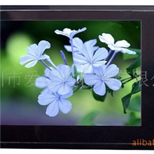 ISDB-T3.5寸便携式数字电视