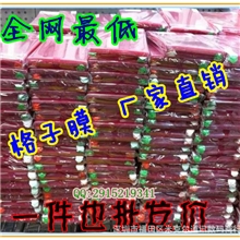 批发通用手机膜手机贴膜保护膜5678A4寸网格膜格子尺寸膜