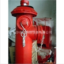 地上消火栓SS100-65-1.6，室外消火栓价格，消火栓安装使用方法