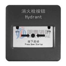 泰科丨TYCO消防3000-9020消火栓按钮