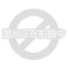 诺帝菲尔丨NOTIFIERSYS-STR光警报器