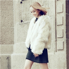 2013秋冬季新款女装仿皮草毛毛小外套高贵气质皮草上衣R0017