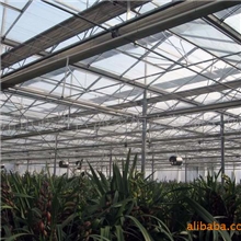 供应内用铝箔遮阳网铝箔网5年质保