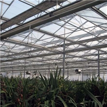 铝箔遮阳网温室遮阳网保温网