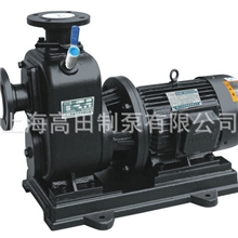 批发生产上海高田长期供应ZX系列微型水泵