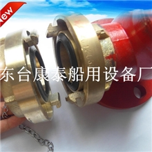 消防栓闷盖铜闷盖船用消火栓内扣式铜闷盖闷头德式中岛