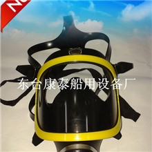 威尔全面防毒面罩/防毒面具/防尘/喷漆/甲醛/农药酸碱氨气滤盒