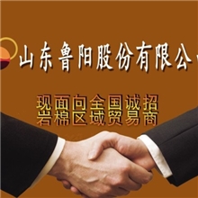 鲁阳岩棉招商全面启动