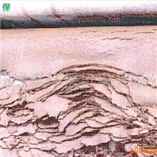 供应【环保处理设备】带式强力脱水机(图)工业脱水机广州绿泰