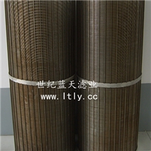 世纪蓝天专业生产不锈钢筒型筛网水过滤器芯