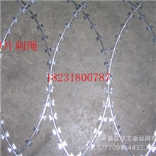 厂家直销镀锌刺绳、PVC刺绳、单双股刺绳、刀片刺绳【安平佳华】