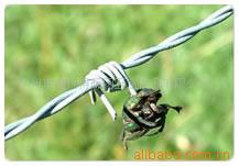 供应公路铁路机场防护网监狱防护网刺丝防护网