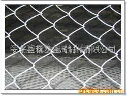 304勾花网，不锈钢六角网，菱形网(图)