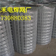 大量供应各种规格铁丝网、墙体防裂电焊网