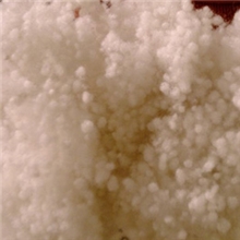 供应优质填充物-珍珠棉