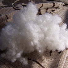 厂家供应珍珠棉棉优质珍珠棉价格优惠