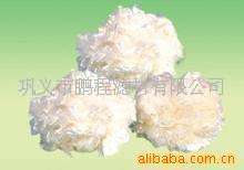 河南鹏程供应高效改性纤维球滤料|鹏程纤维滤料价格低质量好(图)