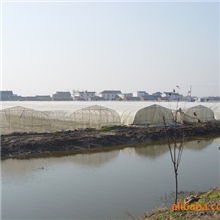 供应各种温室大棚，蔬菜大棚，大棚骨架