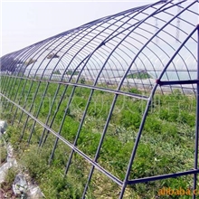 供应温室大棚，大棚，蔬菜大棚，大棚骨架