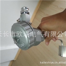 管壁式防爆热电阻