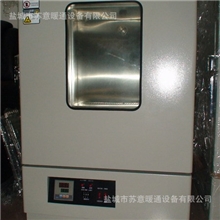 国内最大的干燥设备生产商苏意为您定制电热鼓风干燥箱