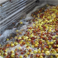 【专业制造商】供应semya果蔬汁饮料生产设备,枣汁浓缩生产线设备