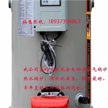 供应燃油锅炉燃气取暖炉小型锅炉热水锅炉燃气锅炉蒸汽锅炉