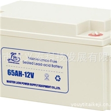 专业生产铅酸蓄电池_阀控式铅酸蓄电池_免维护蓄电池