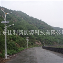 300W风光互补路灯60WLED路灯全套