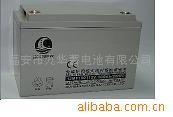 供应UPS蓄电池(图)