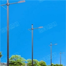 恩泽照明供应道路照明灯单臂灯系列款式新颖价格公道