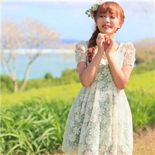 韩国东大门韩版女装雪纺蕾丝淑女泡泡袖花朵连衣裙批发代理