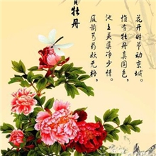 好客碳晶墙暖诚招各地代理