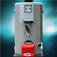 江苏锅炉常州锅炉燃油燃气锅炉蒸汽锅炉立式卧式燃气热水锅炉