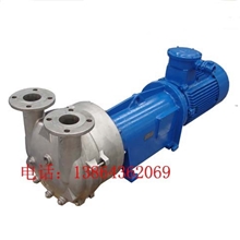 厂家出售2BV/SKA水环式真空泵博山真空泵液环真空泵抽气真空泵