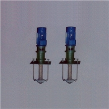 江苏靖江龙耐泵业直销RY熔盐泵（图）单出口长轴式