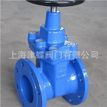 软密封闸阀闸阀法兰闸阀不锈钢闸阀闸阀dn100