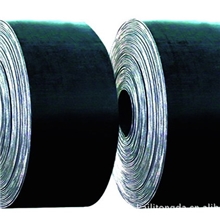 斗式提升机用畚斗带(提升带)