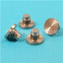 批发生产不锈钢实心台阶铆钉可定制螺纹不锈钢尖铆钉车销类