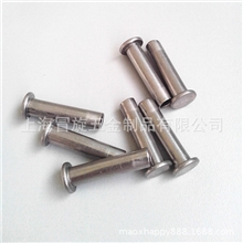厂家直供不锈钢铆钉半空心铆钉半圆头/平头铆钉可来图订做