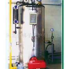 供应立式火管全自动燃气蒸汽锅炉