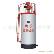 供应300万大卡导热油炉YQL-3500燃气导热油炉立式导热油炉