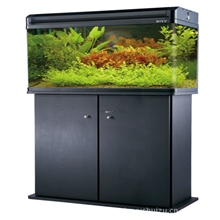 供应博宇雅致水族箱
