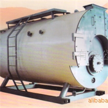 信誉好厂家直销质量可靠WNS系列锅炉