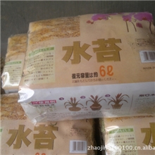 厂家供应家庭装水苔低价销售