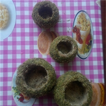 低价促销水苔球厂家专业培育，品质保证